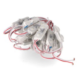String of 20 modules of 2 Samsung SMD LEDs 12V DC 1W 6000K