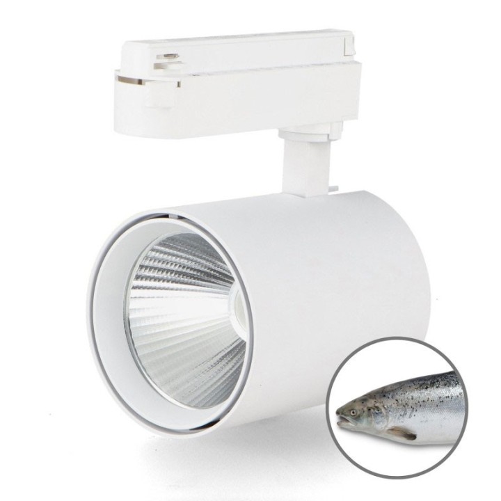 White Air 30W LED Spotlight on Single-ignitiTrack, No Flicker - Fishmo