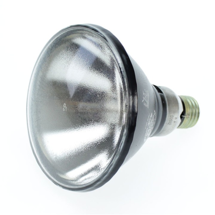 E29  PAR 38 100w H44GS Vapor of Mercury