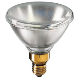 152000 E27 PAR38 24V 120w SP PHILIPS