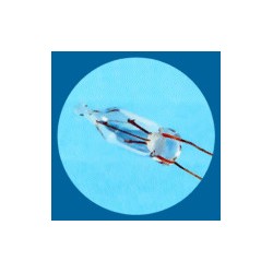 1630500167182 Luciole Claire 24V 40mA