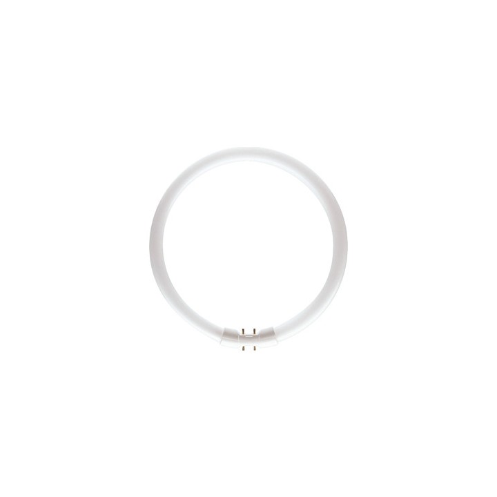 4530100640956 2GX13 CIRCLINE 22w 3000K / 830 PHILIPS