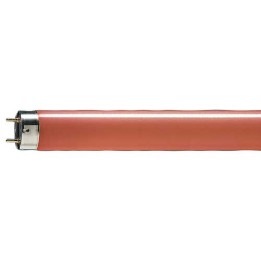 G13 Fluorescent Lamp 58w Red 60 /15 PHILIPS
