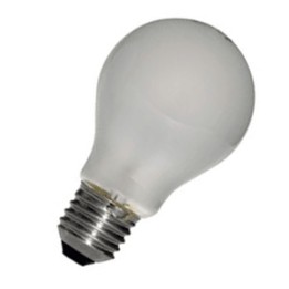 1010500056837 E27 Standard Dépolie 12V 15w