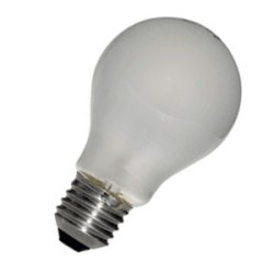 1010500056967 E27 Standard Dépolie 12V 100w