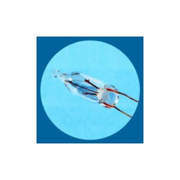 1630500167113 Luciole Claire 6V 100mA