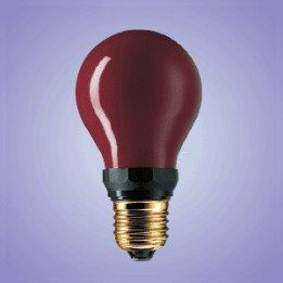 9011300841422 E27 LAMPE INACTINIQUE ROUGE CHAMBRE NOIRE 230V 15W PF712 Dr FISCHER