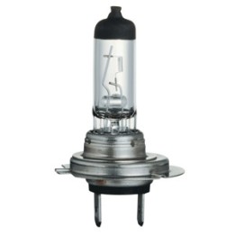 PX26D Halogen Lamp clear 'H7' 11x59 24v 70w