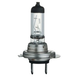 PX26D Halogen Lamp clear 'H7' 11x59 24v 70w