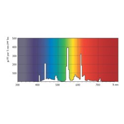 3040500341278 2G8 PL-H 120w /840 4 Pins