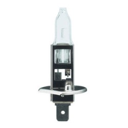 8380500001905 P14,5S Lampe Halogène claire 'H1' 8x67 12v 100w (pour circuit)