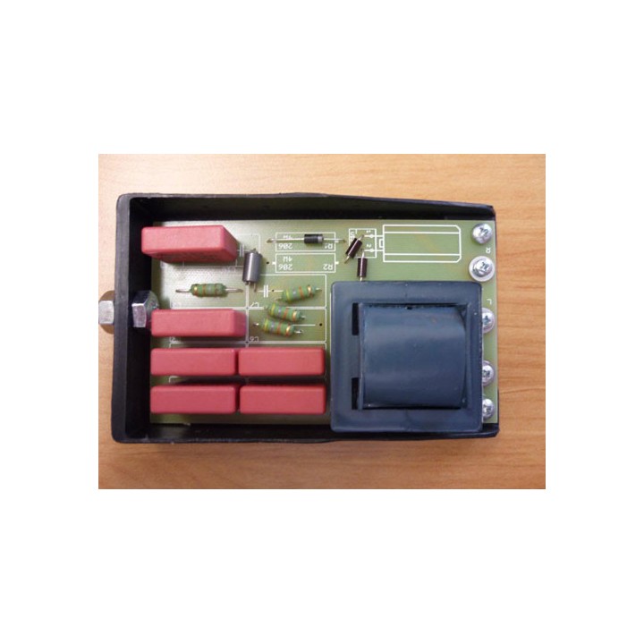 950000C Amorceur Theimer 33308 pour lampe 5000w