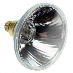 E27 PAR38 24V 120w SP