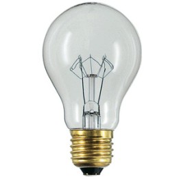 E27 GLS  Clear  230V-240V Rough service  100w