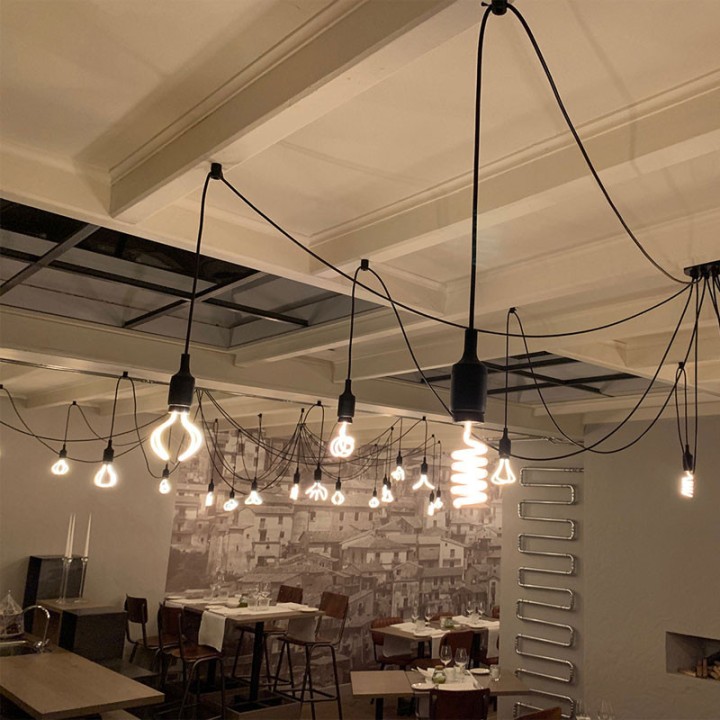 E27 Spiraled Silhouette Flower 12w 2200K Clear 240V Dimmable