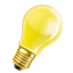 E27 GLS  Color  240V Yellow  40w