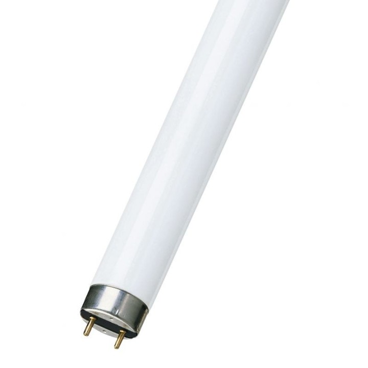 BAI BL Tube fluorescent T8 G13 20W 05 Actinique/Blacklight Opale 26x59