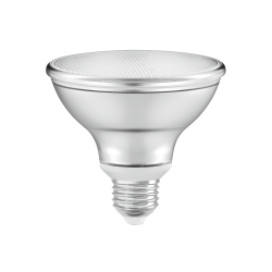 LED SPOT LEDVANCE Performance Class PAR30 75 Verre 36° E27 10W 633lm R