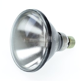 E29 PAR38 100w H44 JM Vapeur de Mercure