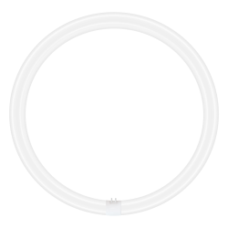 G10Q LED Circline T9 24w = 40w 865 220-240v Ledvance