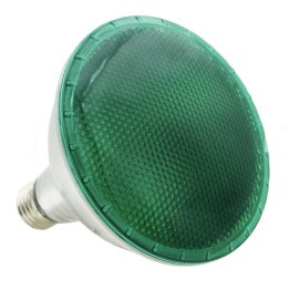 E27 PAR38 LED 15w Green 230v LAES