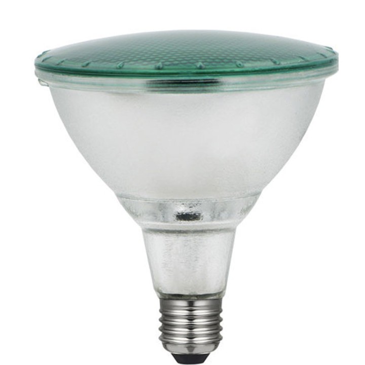 E27 PAR38 LED 15w Verte 230v LAES
