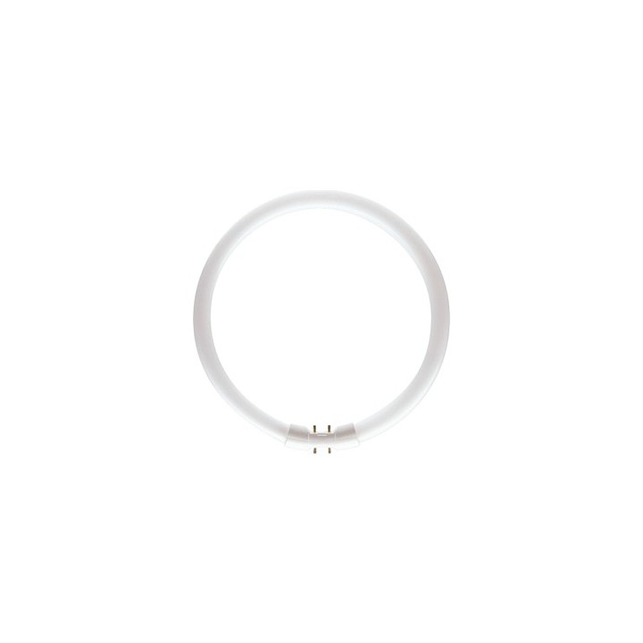 2GX13 CIRCLINE 40w 3000K /830 