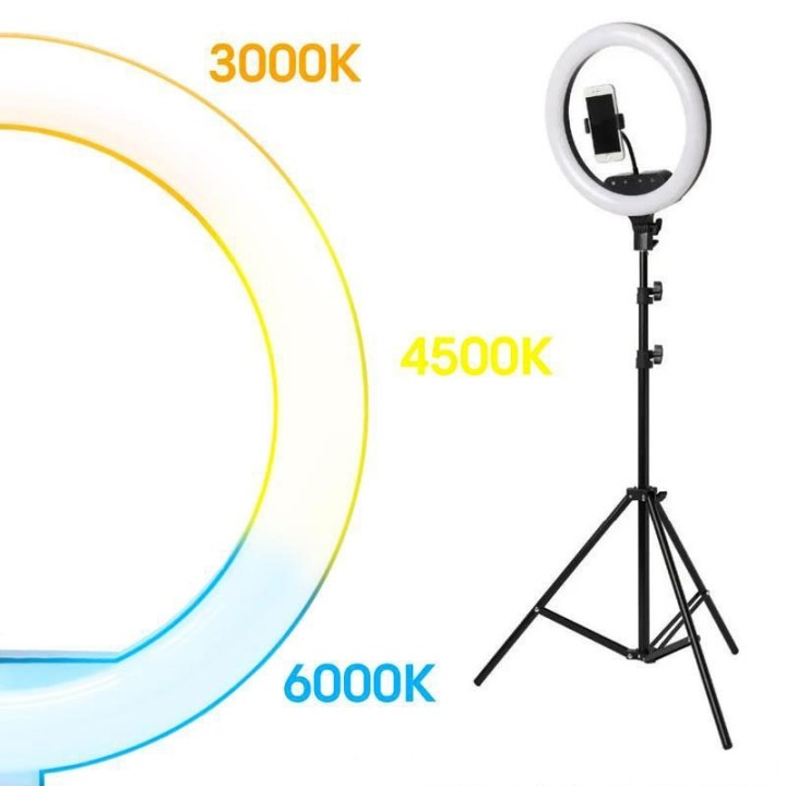 Anneau de lumière led 12w Noir sur chargeur 5vdc pour influenceur