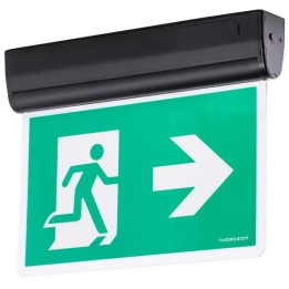 BAES wall/Ceiling LED 3H 5W 6000K 150 - 50Lm 30m IP65 IK08 Black THORG