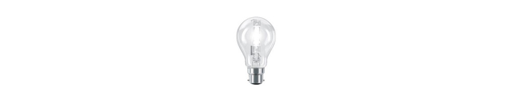 Inexpensive but quality standard halogen bulbs